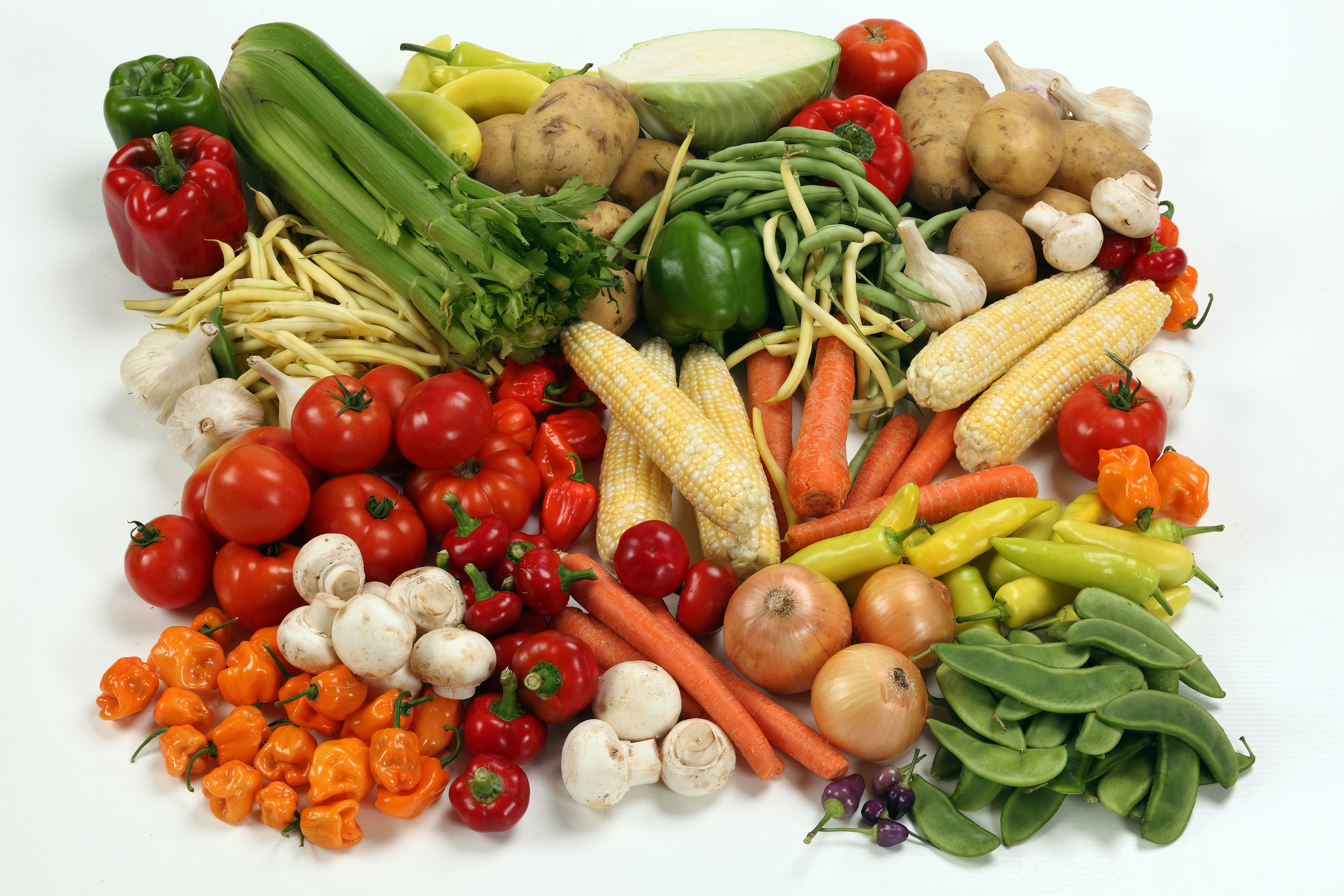 Organic Vegetable Portal